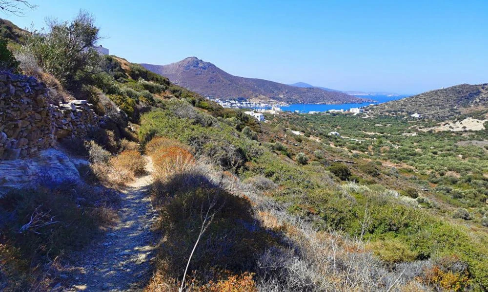 Μορφή «επιδημίας» παίρνουν οι εξαφανίσεις ξένων τουριστών στην χώρα μας - Μέσα σε 10 μέρες χάθηκαν τα ίχνη 9 τουριστών
